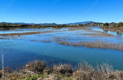 Marshy wetlands of San Francisco Bay