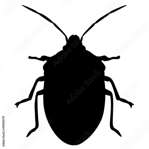 Illustration of a grass bug. Insect pest. Beatle.