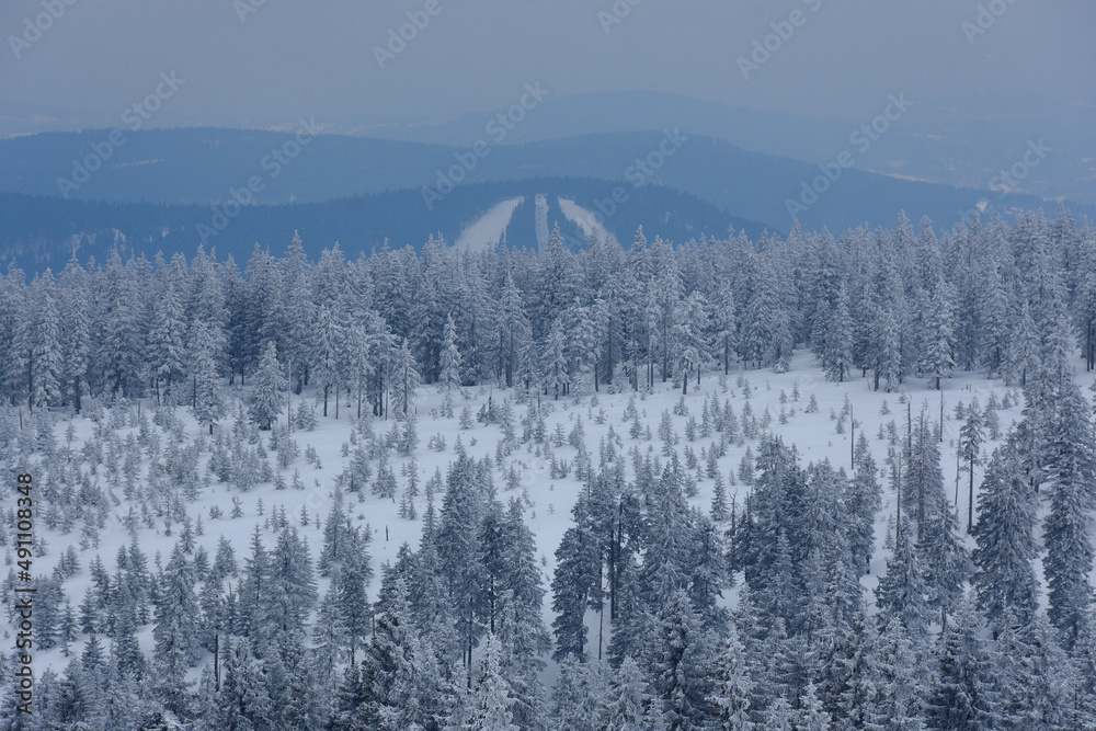 Fototapeta premium Czeskie Karkonosze zimą