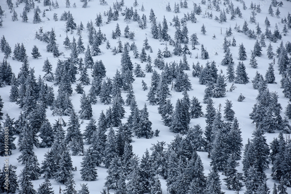 Karkonosze - krajobraz zimowy 