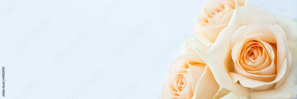 Delicate fragile bouquet of pale yellow roses. Banner for wedding card or invitation. Selective soft focus, copy space Delicate fragile bouquet of pale yellow roses. Banner for wedding card or invitation. Selective soft focus, copy space