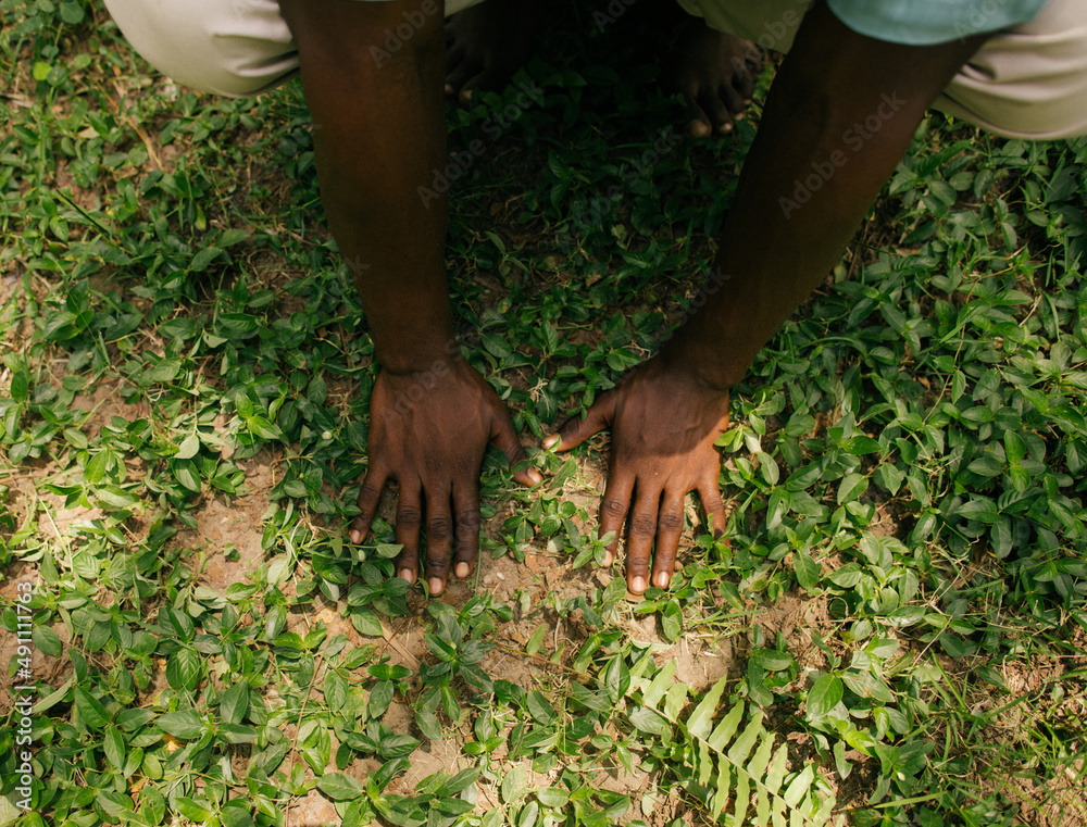 Fototapeta premium Portrait of a black african nature activist placing his hands in the soil 
