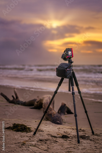 Foografieren am Meer photo