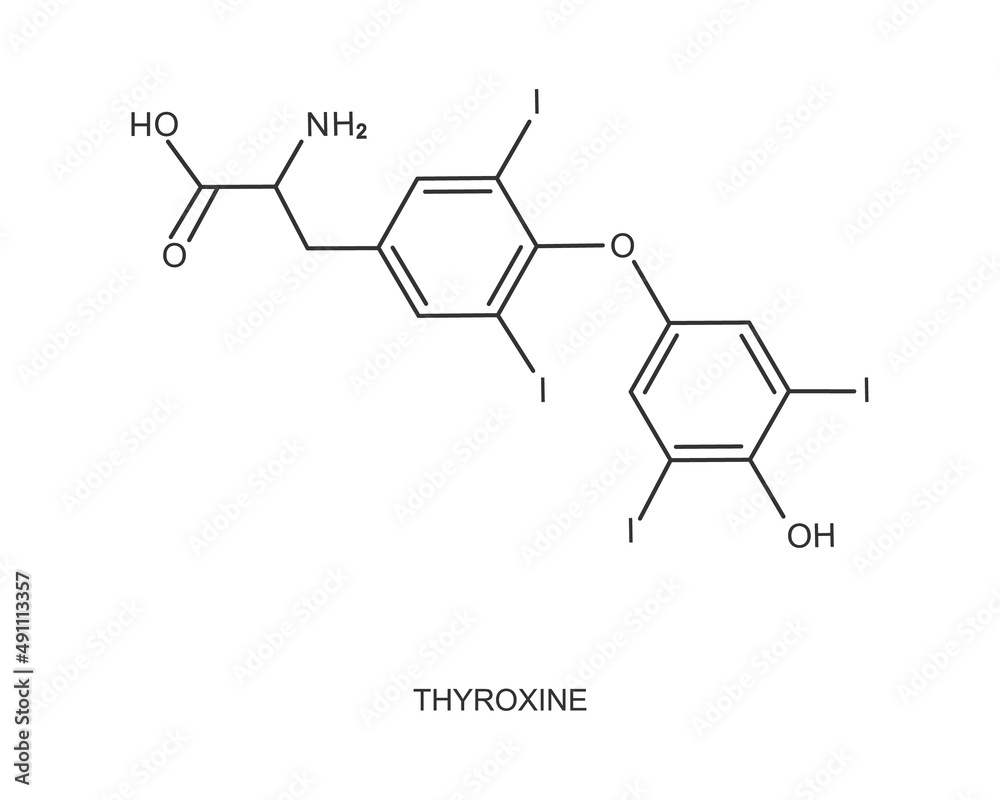 Thyroxine icon. Chemical molecular structure. Major endogenous hormone secreted by the thyroid gland isolated on white background. Vector outline illustration
