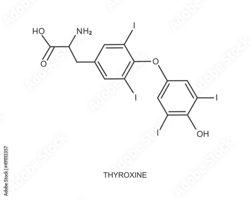 Thyroxine icon. Chemical molecular structure. Major endogenous hormone secreted by the thyroid gland isolated on white background. Vector outline illustration photo