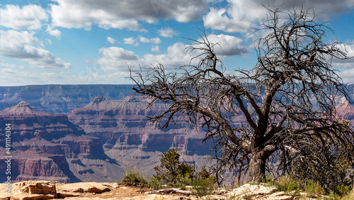 Scenic landscape of the Grand Canyon from the south rim