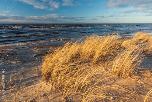 Baltic Sea and dry grass in sunny spring evening, Latvia.
