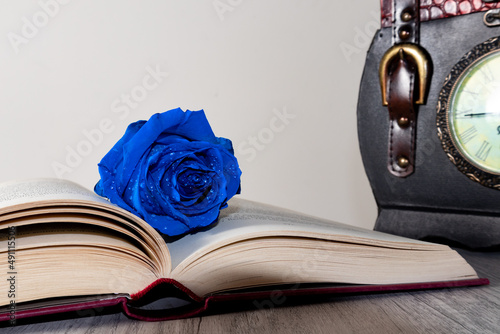 Photography blue rose flower on a book on white background