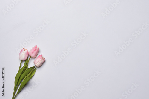 Fototapeta Naklejka Na Ścianę i Meble -  Fresh tulip flowers. Colorful spring flowers. Bright summer flowers. Fresh and beautiful tulips