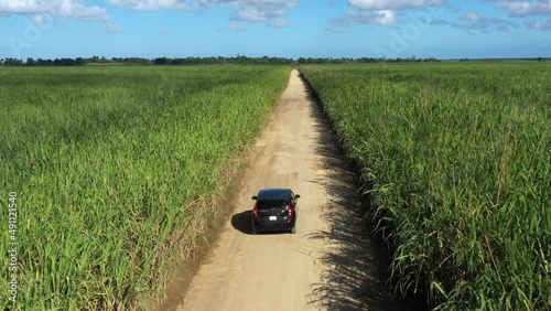 Car is going on the road through sugar cane fileds plantation at caribbean countryside. Aerial top view photo