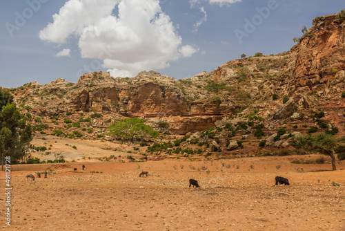 Landscape of Tigray region, Ethiopia