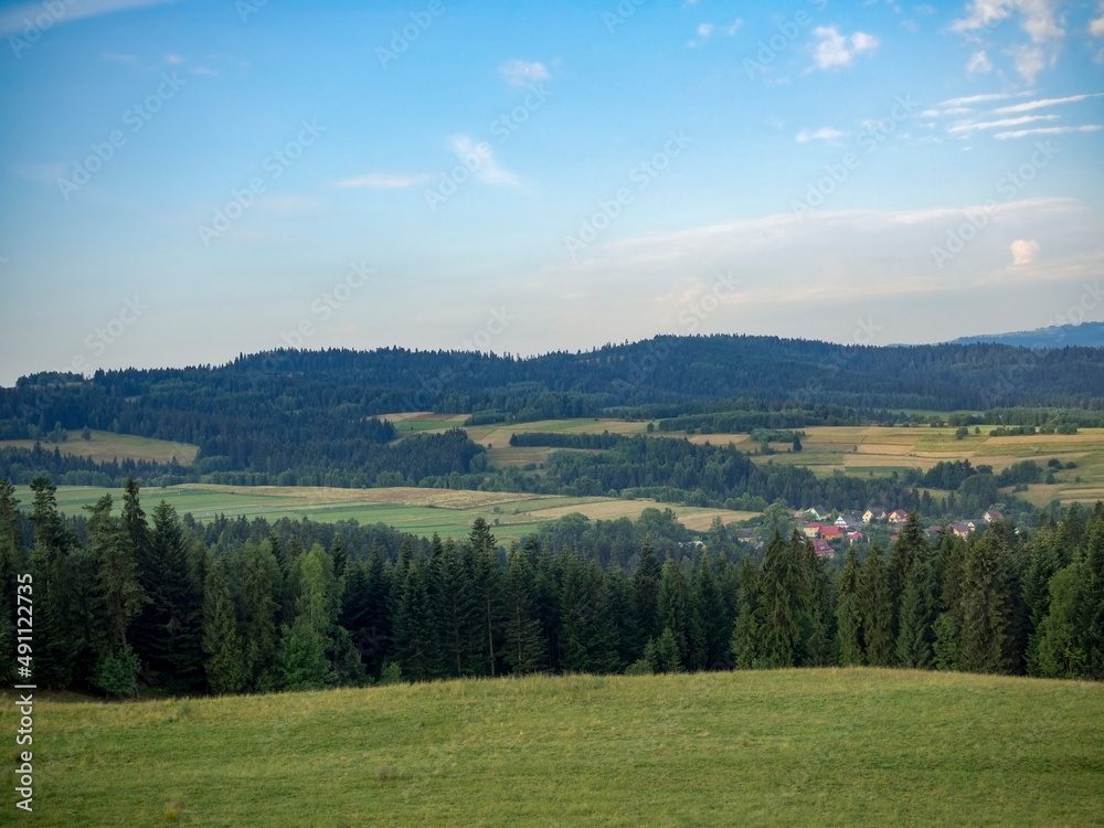 Green nature landscape from Carpathian mountains