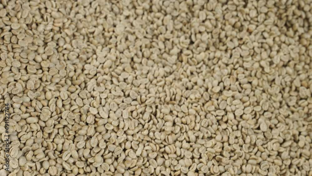 hand preparing raw coffee beans for roasting - punching in coffee beans Slow Motion hand preparing raw coffee beans for roasting - punching in coffee beans Slow Motion