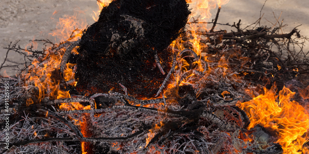 Flaming fire. Burning tree branches. Pagan rite dedicated to the arrival of spring. Big bonfire on Shrovetide. Auto-da-fe, ritual of public punishment, burning at the stake. Flaming fire. Burning tree branches. Pagan rite dedicated to the arrival of spring. Big bonfire on Shrovetide. Auto-da-fe, ritual of public punishment, burning at the stake.