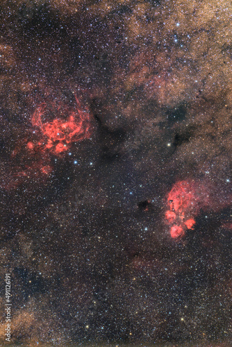 彼岸花星雲、出目金星雲