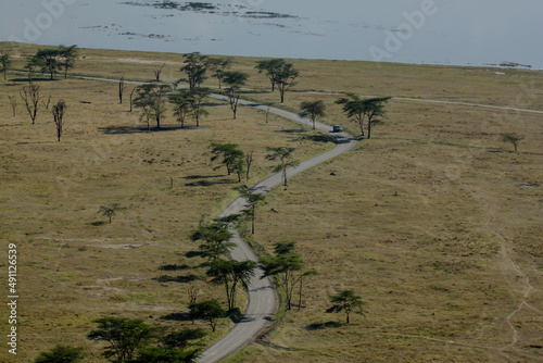 road in savanna landscape