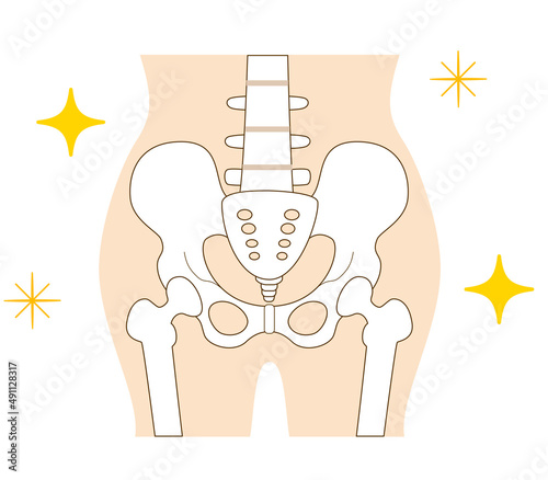 Pelvis in correct position and posture.