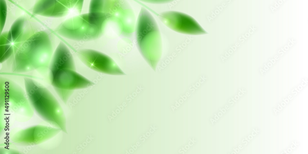 Obraz premium 新緑 葉 風景 背景