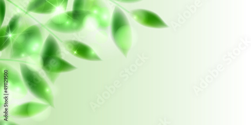 新緑　葉　風景　背景