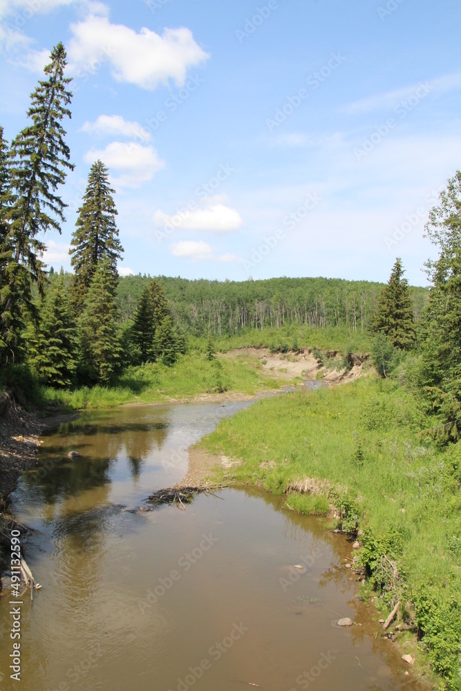 Obraz premium Spring Time On The Creek