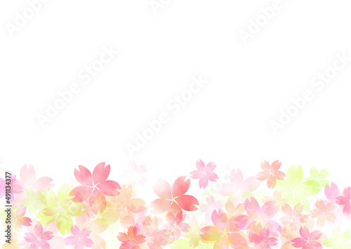桜の透ける背景素材素材 春フレーム