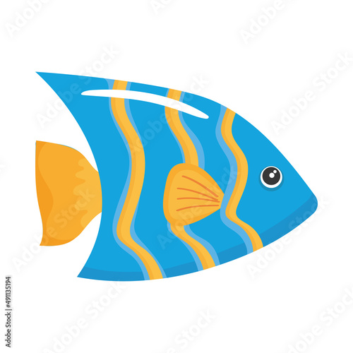 blue fish marine life