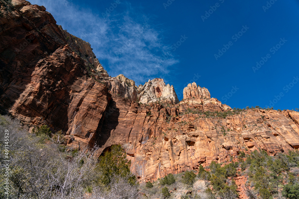 Looking Up to the Very Tall Zion Park Mountains Peaks