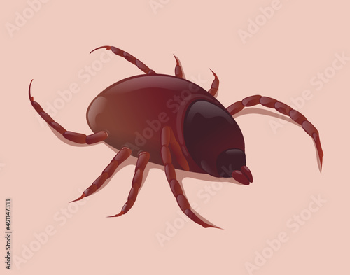 tick isolated on flat skin vector illustration