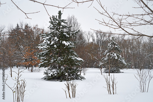 City park covered with snow.