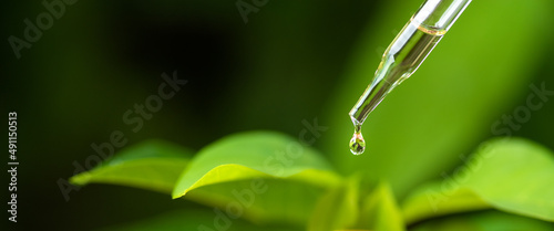 Dripping natural essential oil into a bottle on blurred background .medicine dropper, biomedical.