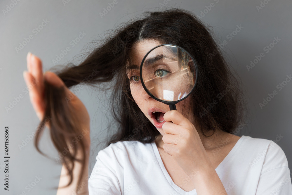 Portrait of a young shocked Caucasian woman examining the dry tips of her hair through a magnifying glass. Gray background. The concept of hair problems Portrait of a young shocked Caucasian woman examining the dry tips of her hair through a magnifying glass. Gray background. The concept of hair problems