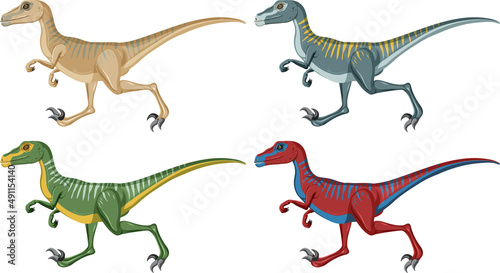 A set of velociraptor dinosaurs on white background