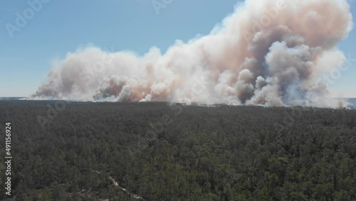 forest fire smoke billowing wild controlled burn forest service ocala national forest florida aerial drone ascending photo