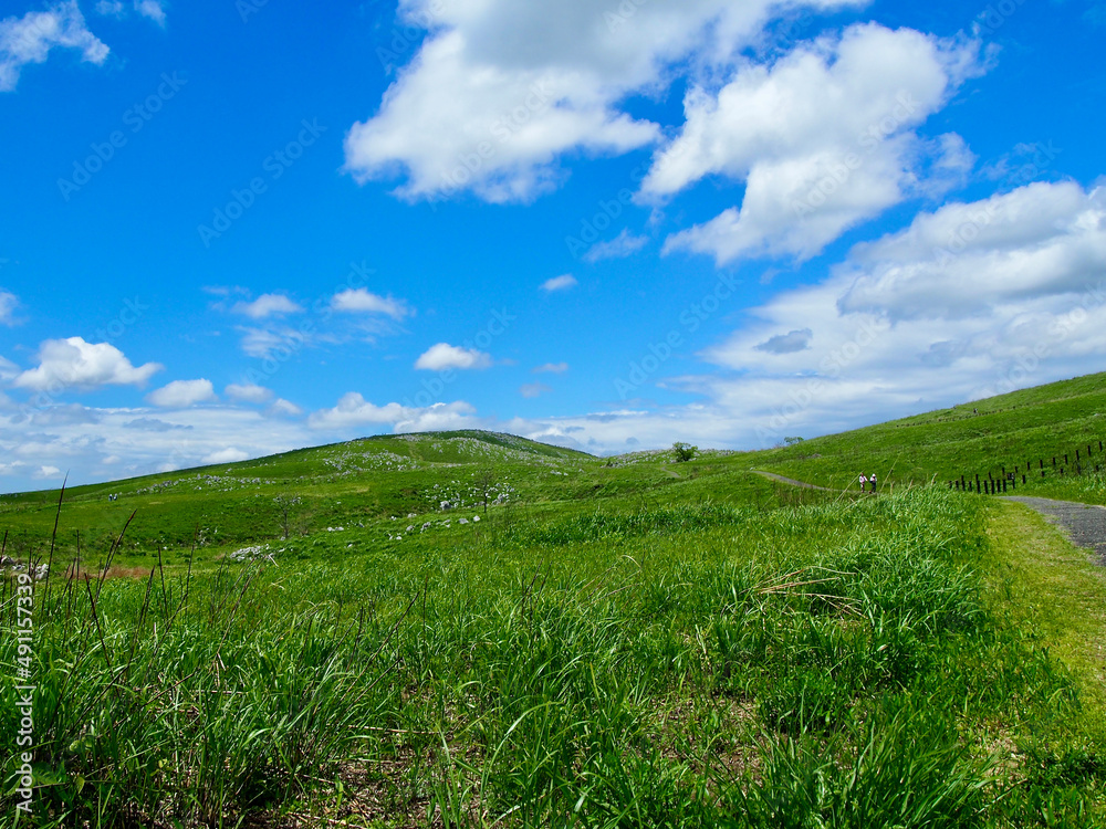 Blue sky Travel