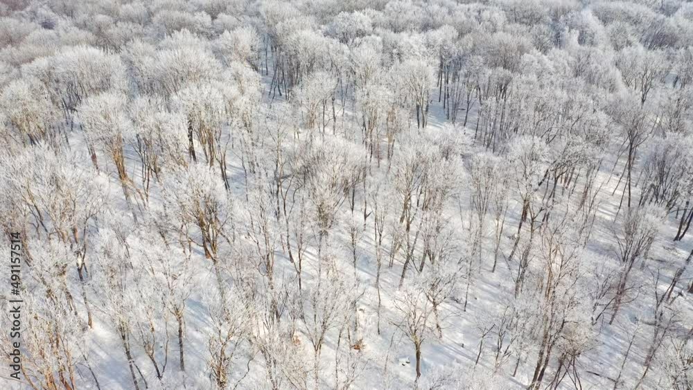 Shooting of a drone flying over a snowy forest on a sunny day. Filmed in 4k video. Shooting of a drone flying over a snowy forest on a sunny day. Filmed in 4k video.