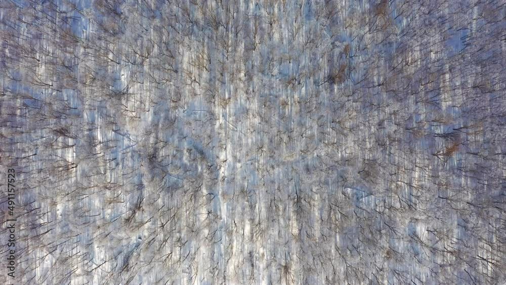 Shooting of a drone flying over a snowy forest on a sunny day. Filmed in 4k video. Shooting of a drone flying over a snowy forest on a sunny day. Filmed in 4k video.