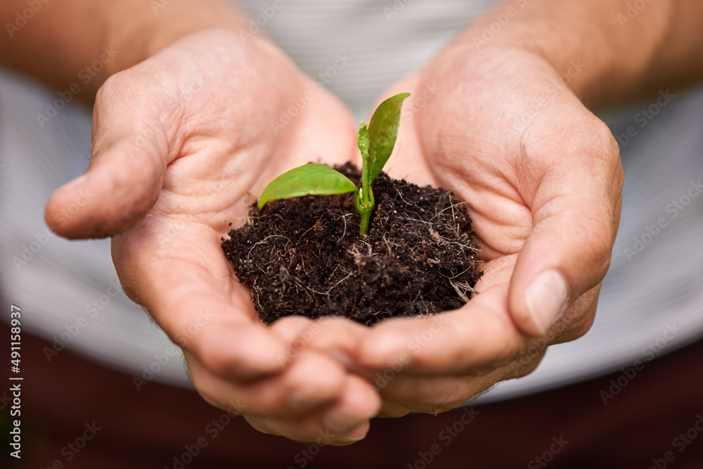 Nurturing new life. Cropped shot of a manamp039s hands holding a pile of soil with a budding plant. Nurturing new life. Cropped shot of a manamp039s hands holding a pile of soil with a budding plant.