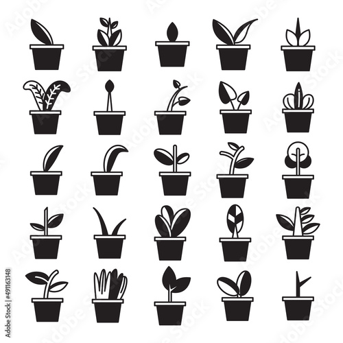 plant in pot and tree icons