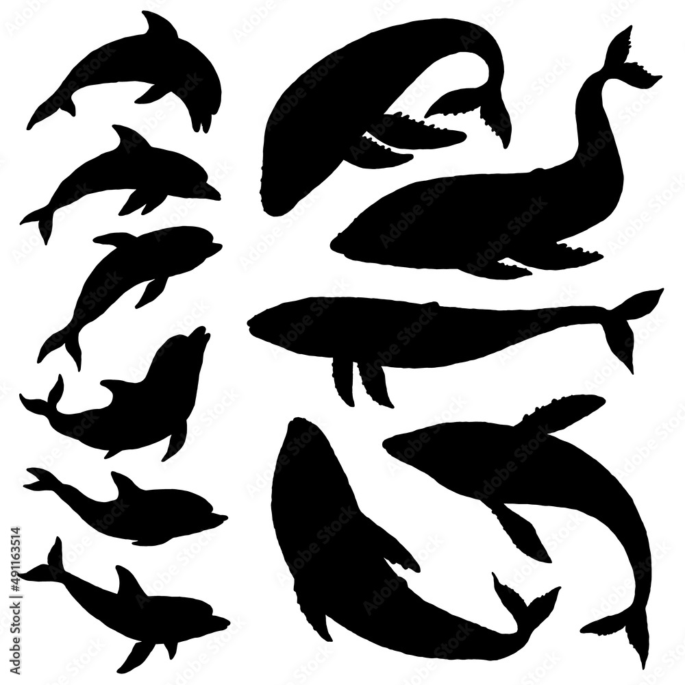 Whale and dolphin silhouette set. Jumping playful sea aquatic animal doodle vector Illustration. Whale and dolphin silhouette set. Jumping playful sea aquatic animal doodle vector Illustration.