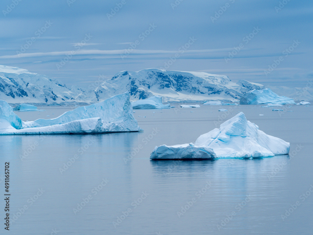 custom made wallpaper toronto digitalStunning icy landscapes along Wilhelmina Bay, Antarctic Peninsula, Antarctica