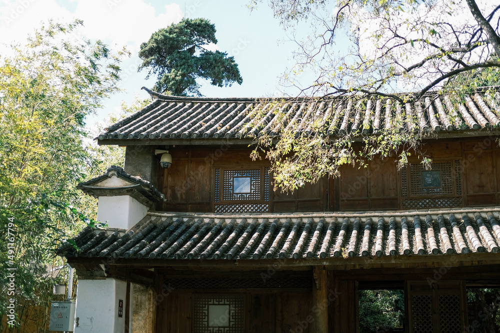 japanese garden in the garden