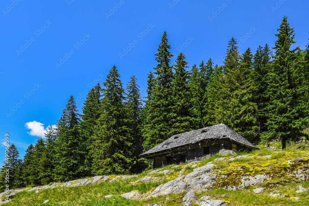 Old cottage in the mountains - Mountain landscape Transfagarasan, Romania