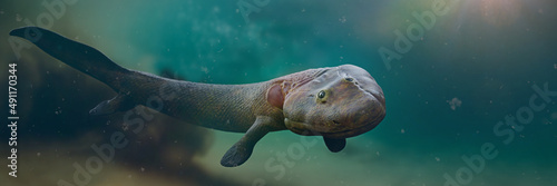 Tiktaalik, extinct transitional species between fish and legged animals from the Late Devonian Period 