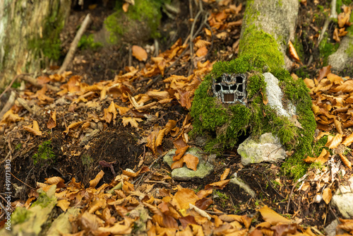 Camouflaged trailcam hidden on a tree under green moss in autumn nature. Game camera with infrared illumination disguised outdoors. Automatic device with PIR detector for hunting. photo