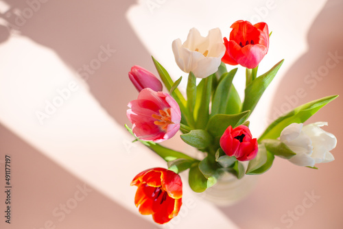 bouquet of tulips in sun on window