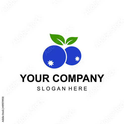 Modern simple blueberry logo vector