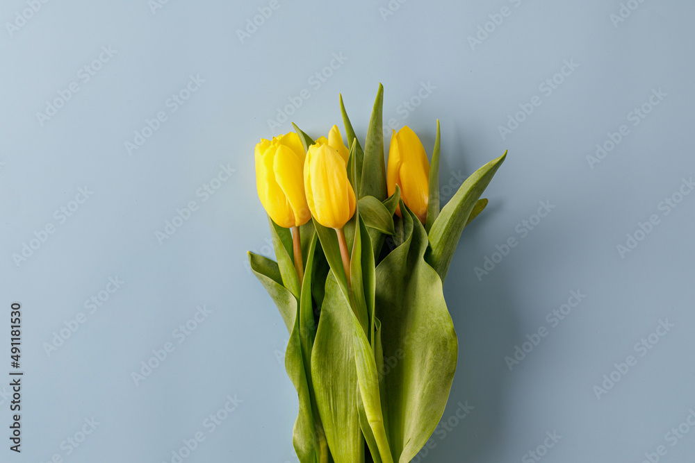 Bouquet of yellow tulips on blue background. Concept for March 8, Women's Day, Valentine's Day, holiday, mother's day. Bouquet of yellow tulips on blue background. Concept for March 8, Women's Day, Valentine's Day, holiday, mother's day.