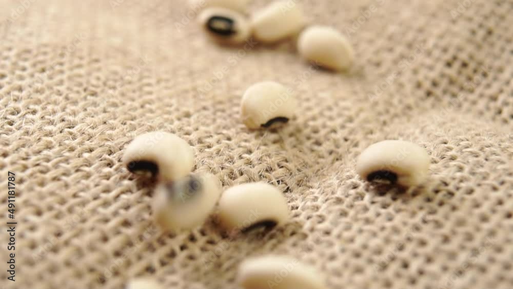 Black eyed peas falling on a rustic burlap. Dry uncooked legumes. Macro. Slow motion Black eyed peas falling on a rustic burlap. Dry uncooked legumes. Macro. Slow motion
