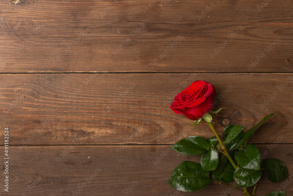 Romantic background with red rose on wooden table, top view. Copy space