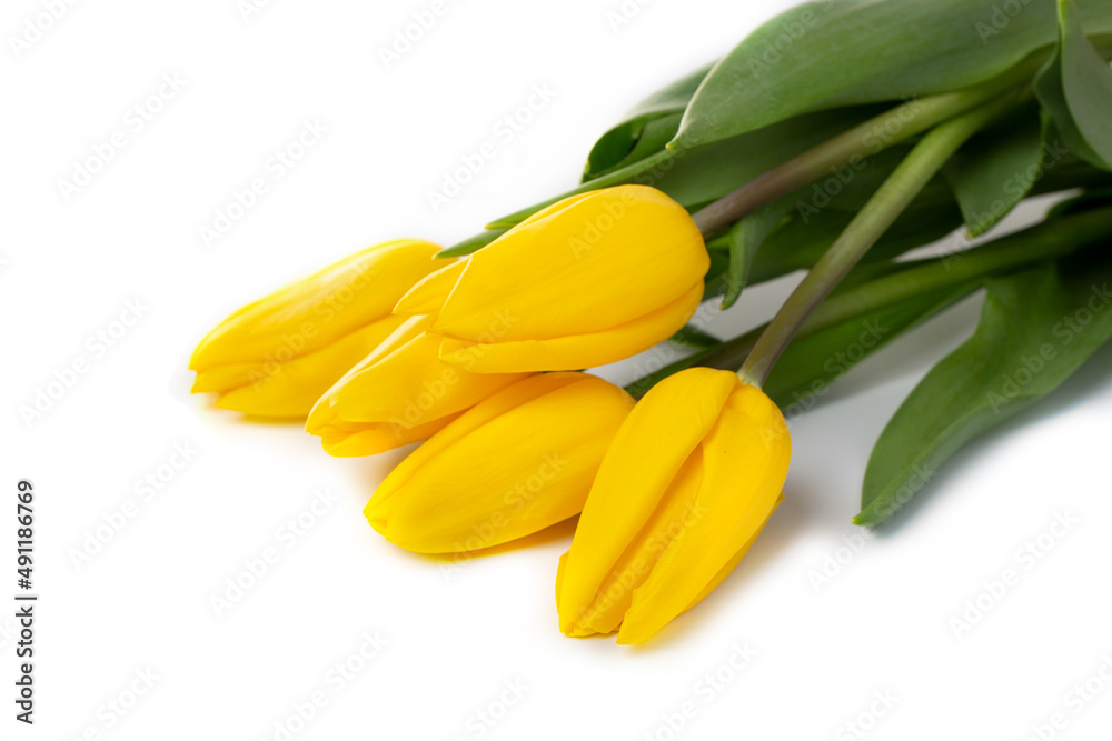 A beautiful bouquet of yellow tulips on a white background. A beautiful bouquet of yellow tulips on a white background.